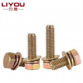 Hex Bolt with Spring & Flat Washer Assembly