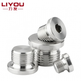 Hex Socket Head Pipe Plug