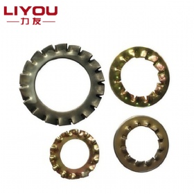 Internal and External Tooth Lock Washer
